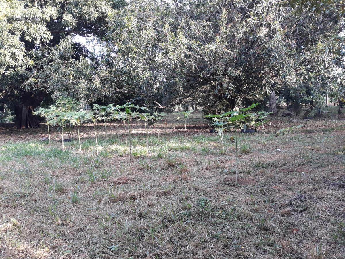 Chale Veredas E Buritis Pirenópolis Εξωτερικό φωτογραφία
